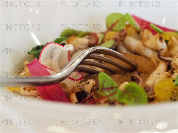 Macro close up of atlantic squid plated with potato rich sauce cream reduction