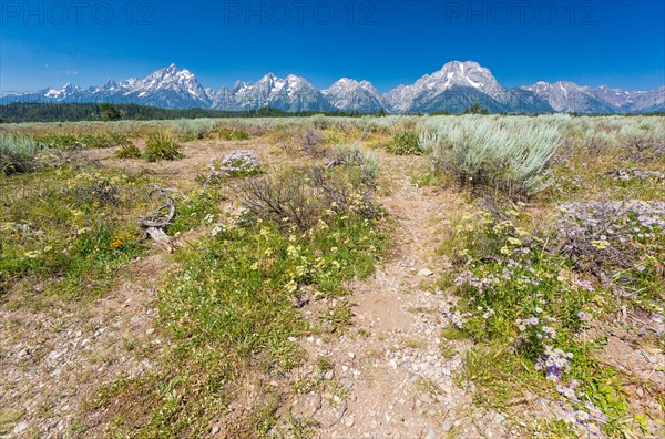 Grand teton national park mountain range in wyoming