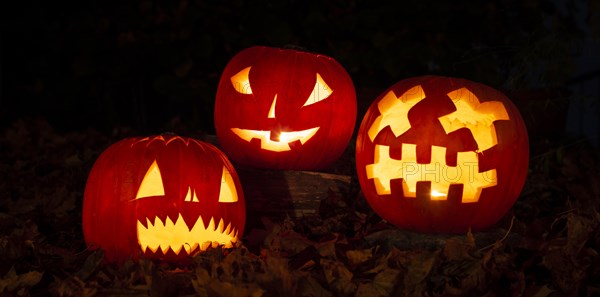 Glowing pumpkins at night