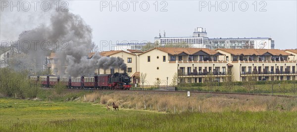 Molli steam train