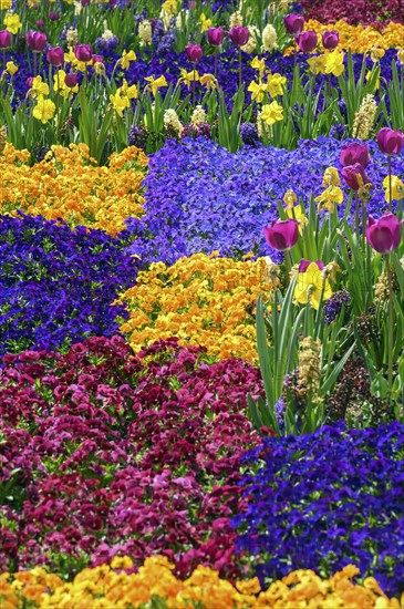 Spring bed at the Residenzplatz