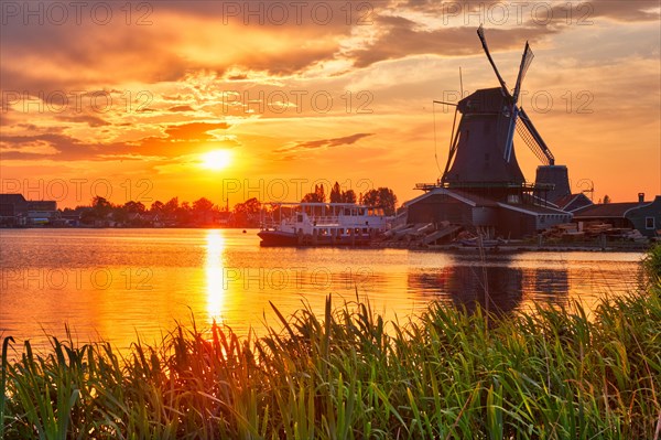 Netherlands rural scene