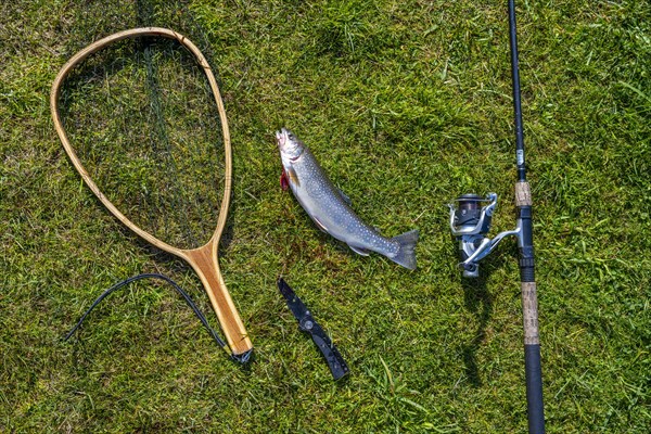 Fishing rod with caught trout and landing net lies on lawn