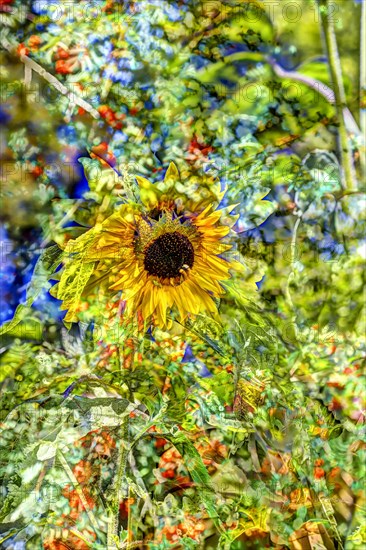 Flowers creative