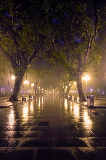 Guangzhou People's Park with mist fog at night. Guangzhou