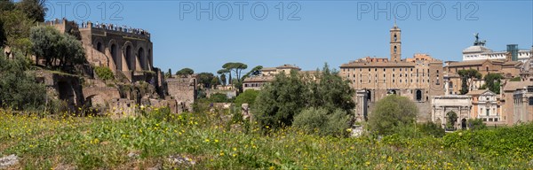 Tourists on the Palatine Hill looking at the Roman Forum