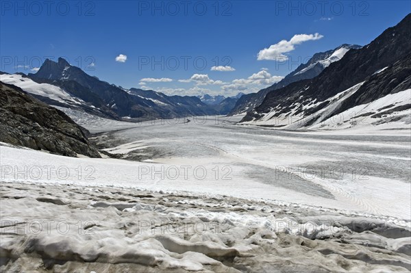 View from Jungfraufirn to Konkordiaplatz and the Aletsch Glacier
