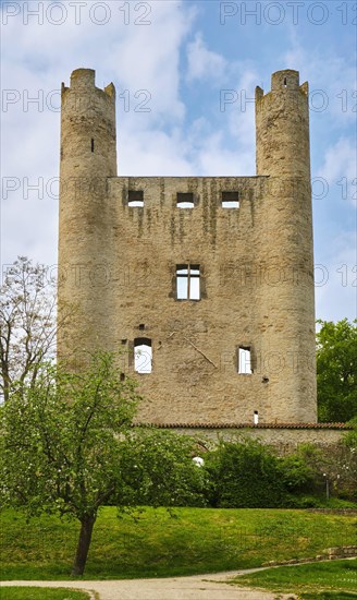 Hoher Schwarm Castle Ruin