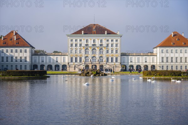Swans swimming in front of Nymphenburg Palace