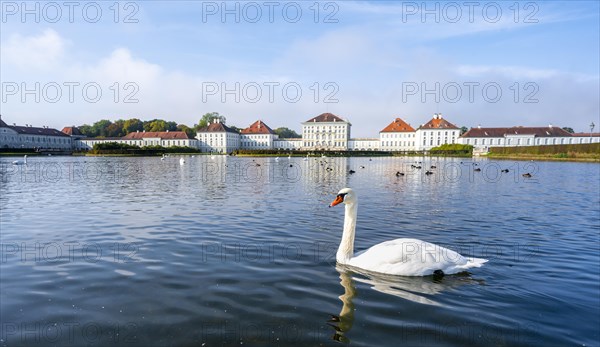 Swans swimming in front of Nymphenburg Palace