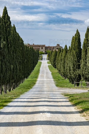 Driveway to country estate