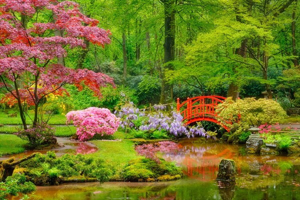 Small bridge in Japanese garden