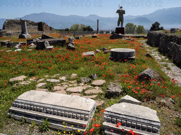 Ruins and statue in a poppy field