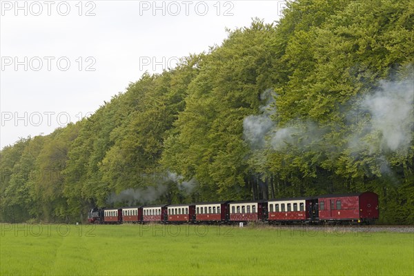 Molli steam train