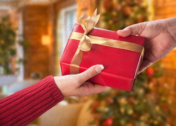 Man and woman gift exchange in front of decorated christmas tree