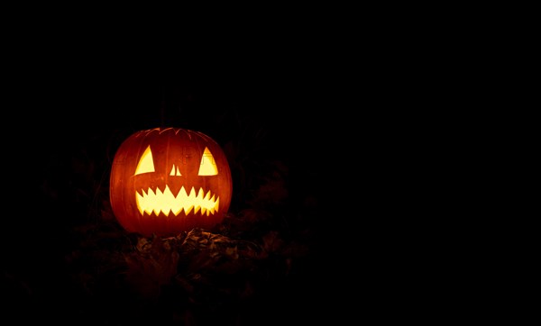 Glowing pumpkins at night