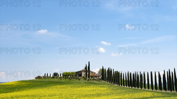 Poggio Covili estate