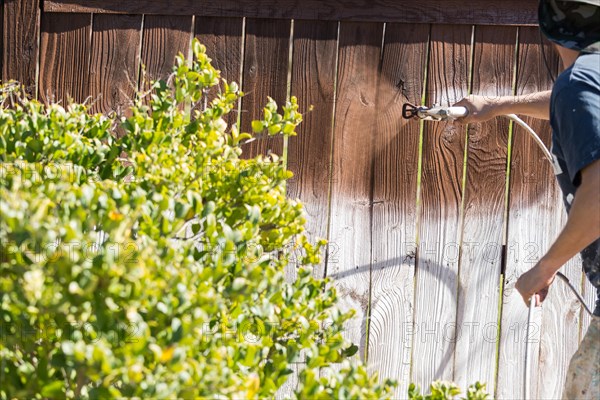 Professional painter spraying house yard fence with wood stain