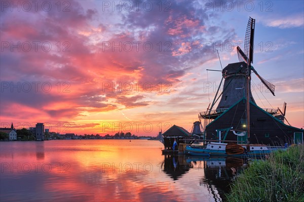 Netherlands rural scene