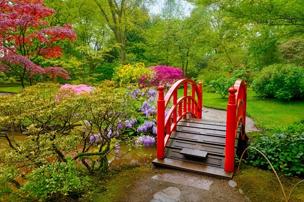 Small bridge in Japanese garden