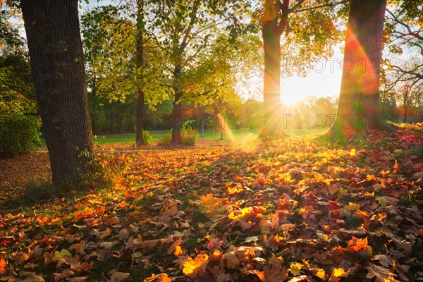 Golden autumn fall October in famous Munich relax place