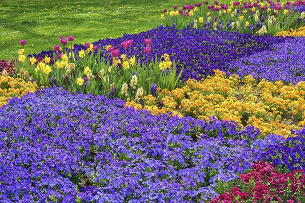 Spring bed at the Residenzplatz