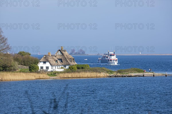 Paddle steamer Schlei Princess