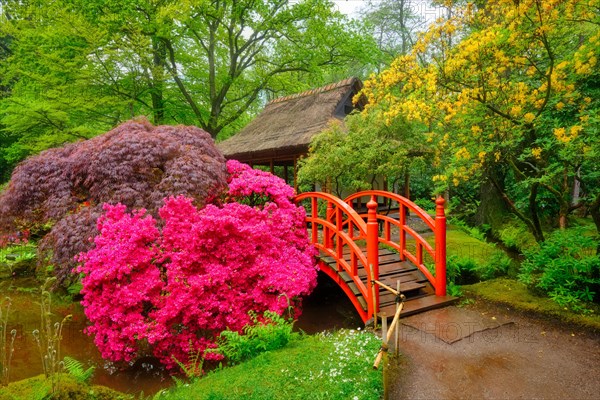 Small bridge in Japanese garden