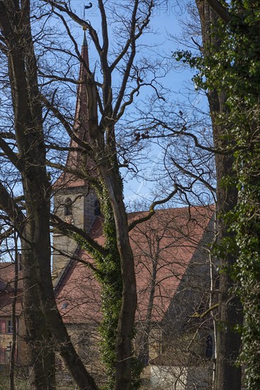 St. Egidien Church