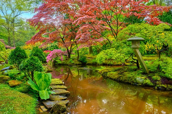 Little Japanese garden after rain