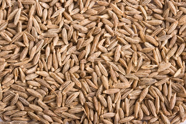 Pile of cumin spice close up