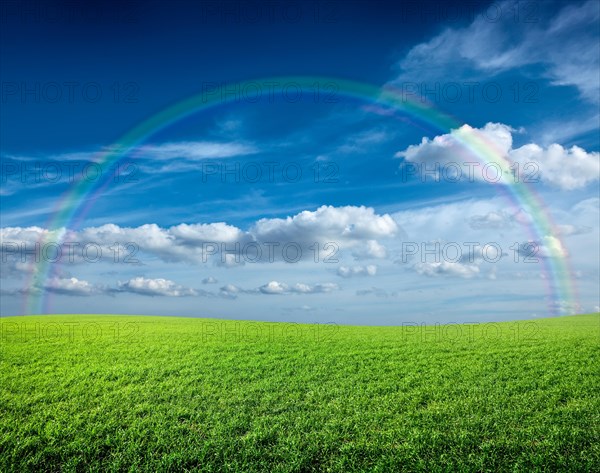 Meadow of green fresh grass under blue sky and rainbow