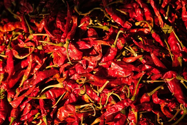 Dried dry red spicy chili peppers pile at asian market close up texture background Sardar Market