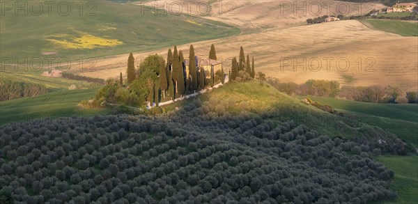 Podere Belvedere Estate