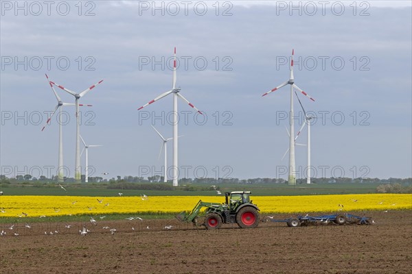 Tractor ploughing field