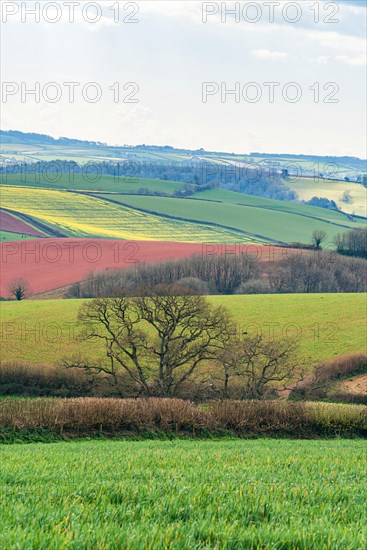 Fields and Meadows over English Village