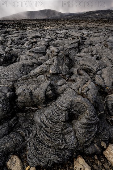 Petrified lava