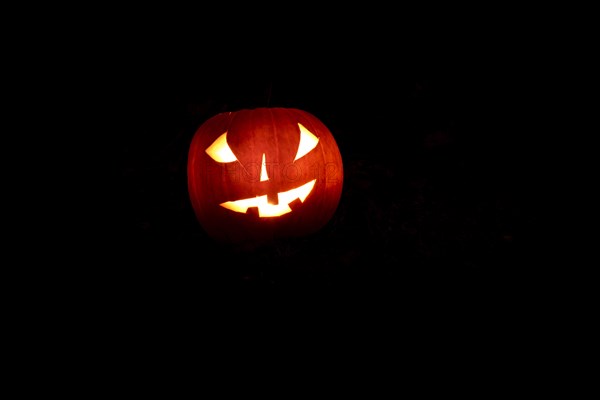 Glowing pumpkins at night