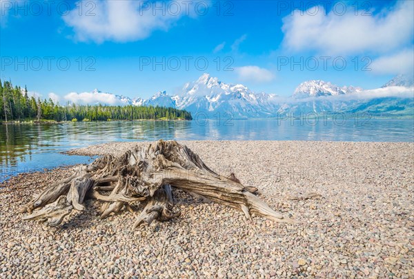 Grand teton national park mountain range in wyoming