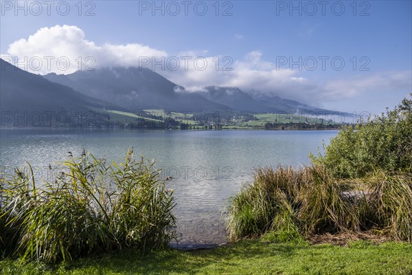 Walchsee