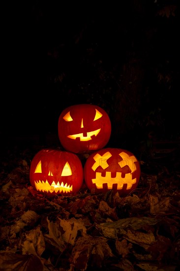 Glowing pumpkins at night