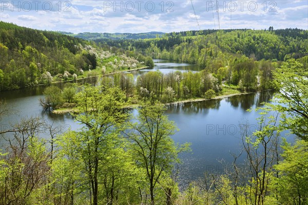 Landscape on the river Saale near Burgk Castle