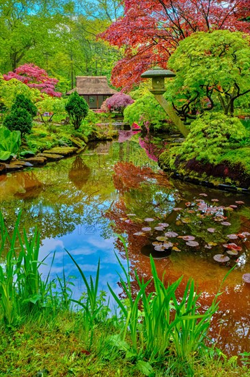 Little Japanese garden after rain