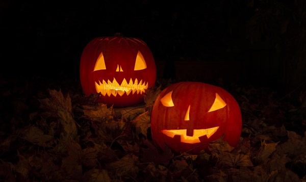 Glowing pumpkins at night