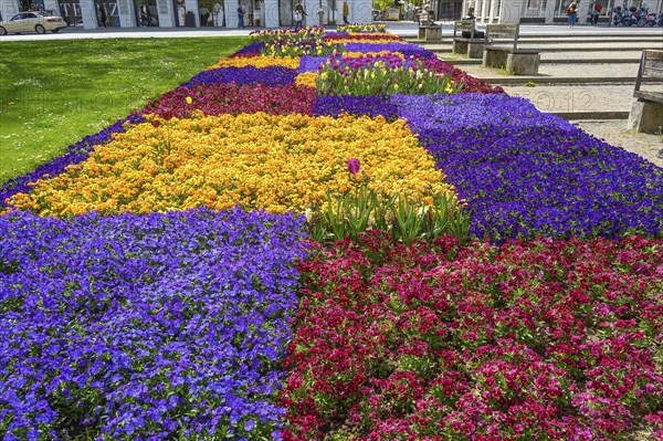 Spring bed at the Residenzplatz