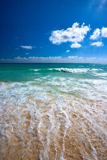 Beautiful beach and waves of Caribean Sea