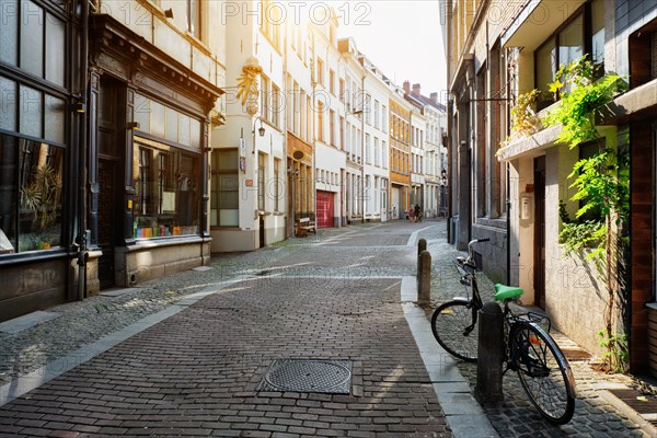 Antwerp street with row of old houses