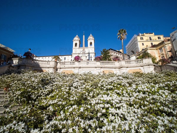 Floral decoration