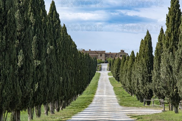 Driveway to country estate