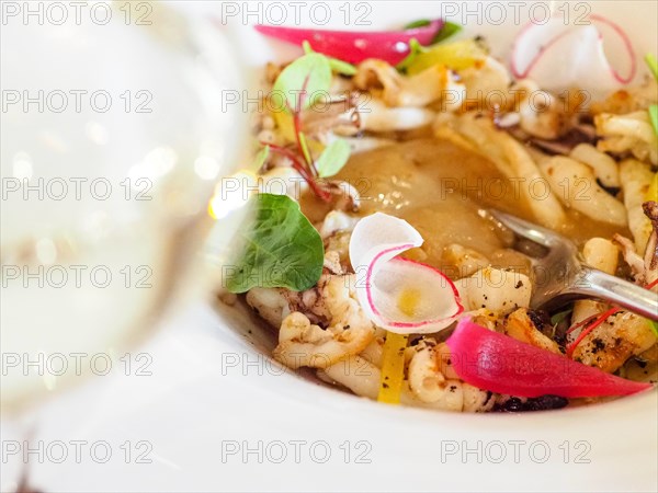 Macro close up of atlantic squid plated with potato rich sauce cream reduction